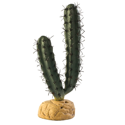 Сиджин с восхождением на поднимание