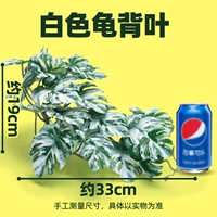 【Большой】 белый лист черепахи