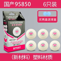 95850 R40+новые материалы/6 упаковка [Свежие 2 коробки упаковки]