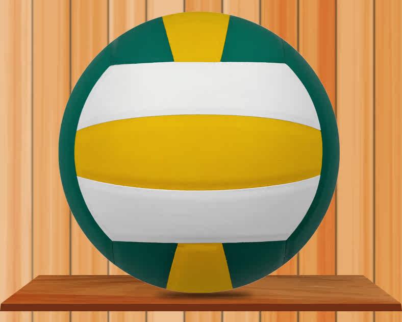 Ballon de volley-ball - Ref 2011710 Image 4