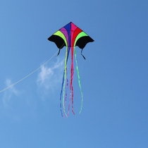 Weifang kite rainbow flying children cartoon kite breeze easy flying novice adult large beginner wheel line