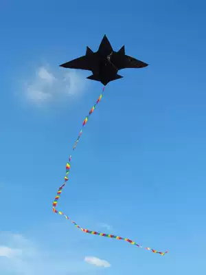 New aircraft fighter kite children cartoon adult large novice beginner kite breeze easy to fly Weifang