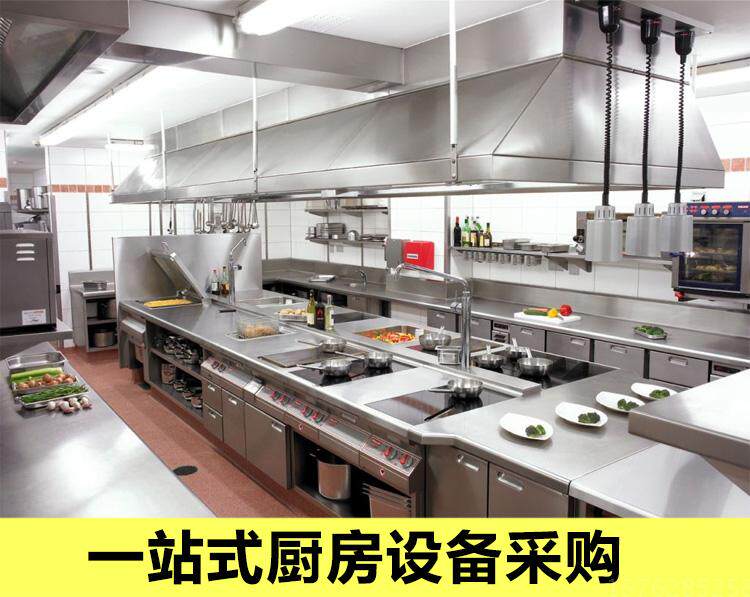 шкаф для ванной 定制不锈钢吊柜厨房挂柜墙柜阳台柜置物储物柜壁柜2门中式整装 OTHER