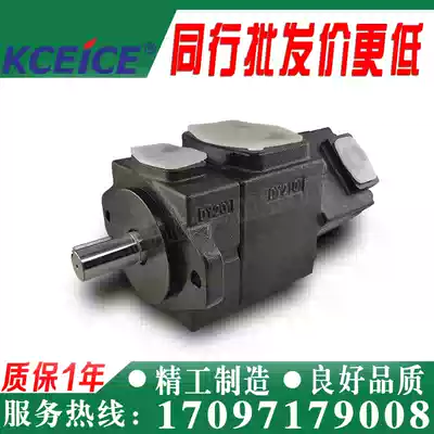 Taiwan PV2R2-47-F-RAA-41 vane pump-26-33-41-59-53-65-75-RAB-RAR-F-R