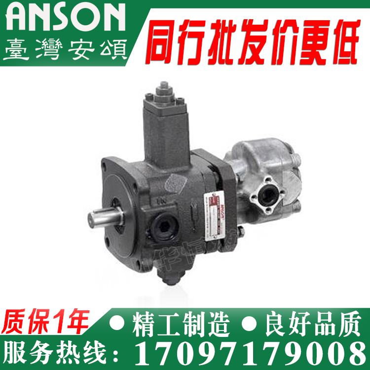 ANSON Taiwan Anson TPF-VL402-GH6-10 VL401 GH7 GH8 GH9 10S Variable Pump
