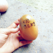 Natural Yellow Dragon Jade yellow wax stone rough stone stone raw stone chicken oil yellow hair C16