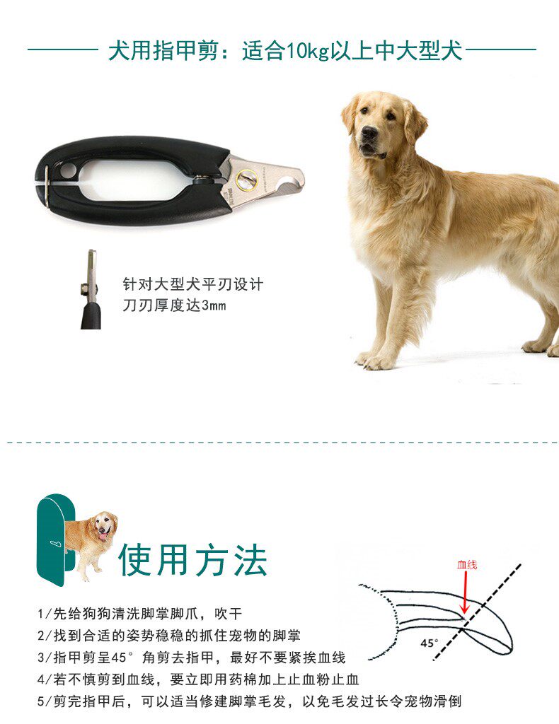 HB-NAIL SHEAR_06.JPG