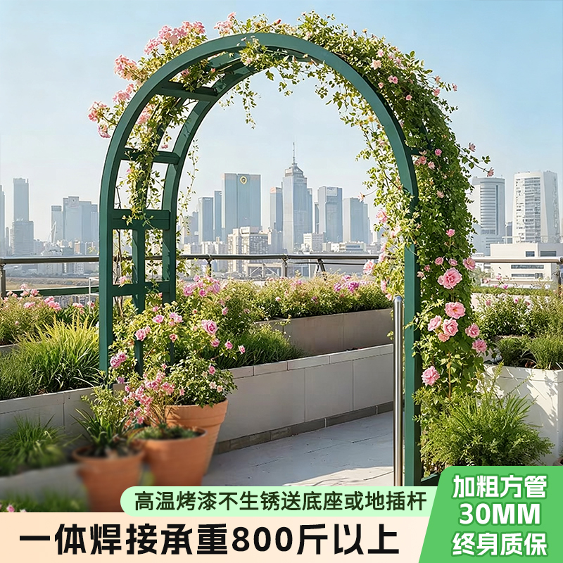 Wrought Iron Square Tube 30mm Arch Trellis for Climbing Plants, Outdoor Grape Trellis, Garden Climbing Rose Fruit Support