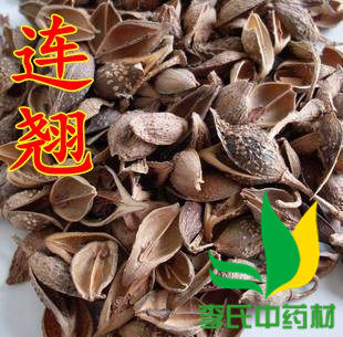 Chinese herbal medicine forsythia teething and green teething 500 gr full of two