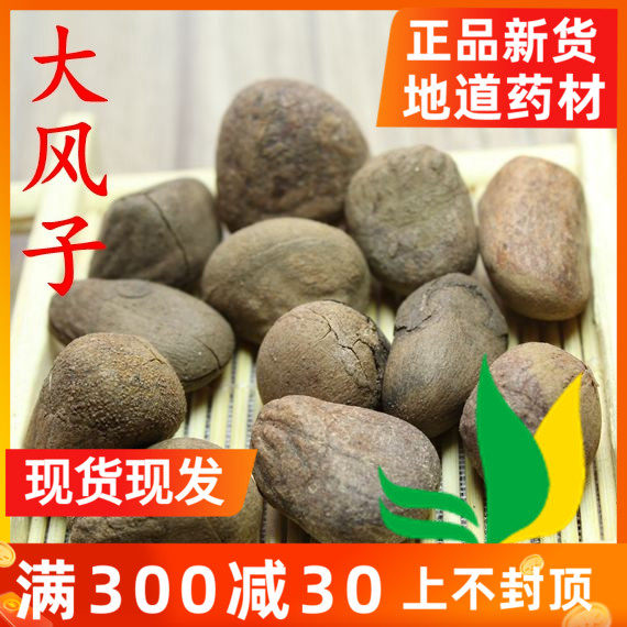 Chinese herbal medicine big maple with strong gale, rice Kangeggi tailing garwood 500 gr full of two