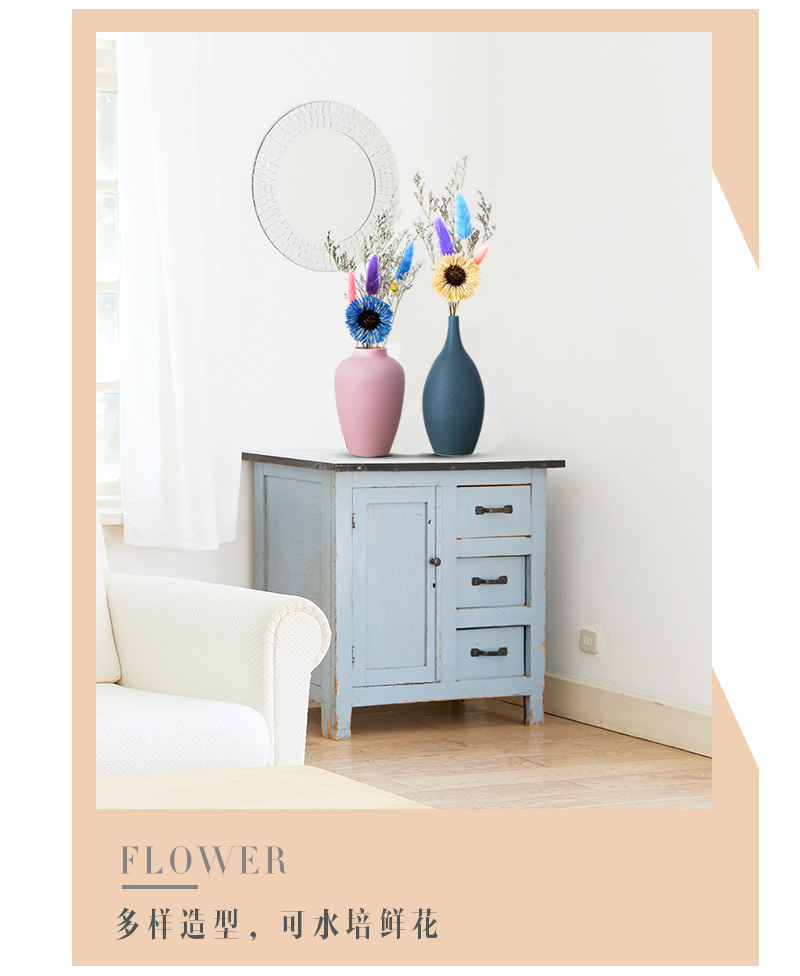 Northern wind ins floret bottle of dry flower adornment is placed in the sitting room TV cabinet table arranging flowers ceramic home decorations