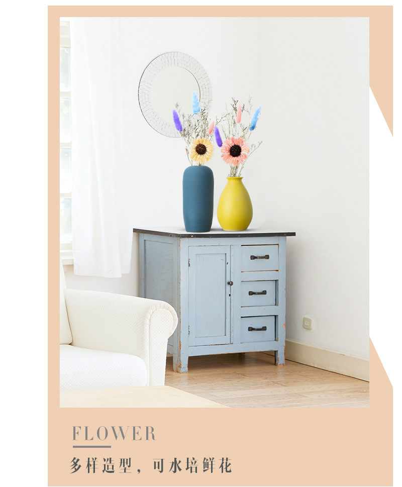 The Nordic floret bottle furnishing articles dried flower arranging flowers sitting room adornment table, TV ark, household ceramics with modern decoration