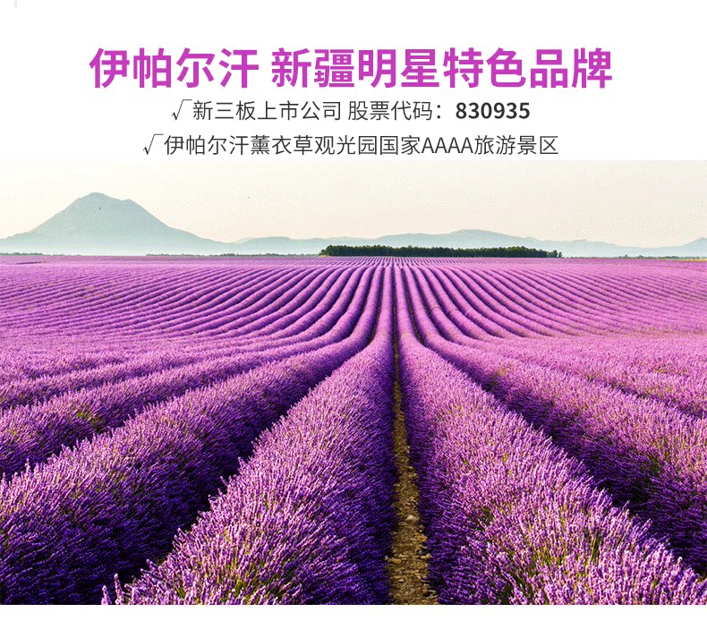 Micro Essence_15.png