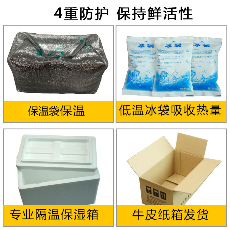 欧盟认证 王巢 纯蜂王浆 500g 天然无任何加工 图5