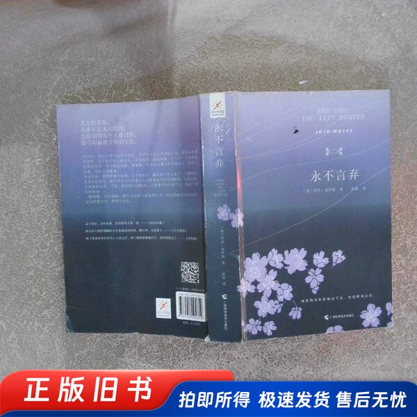 Never Give up (English) by Joe Moise; Translated by Zhu Yuan; Guangxi Science and Technology Press