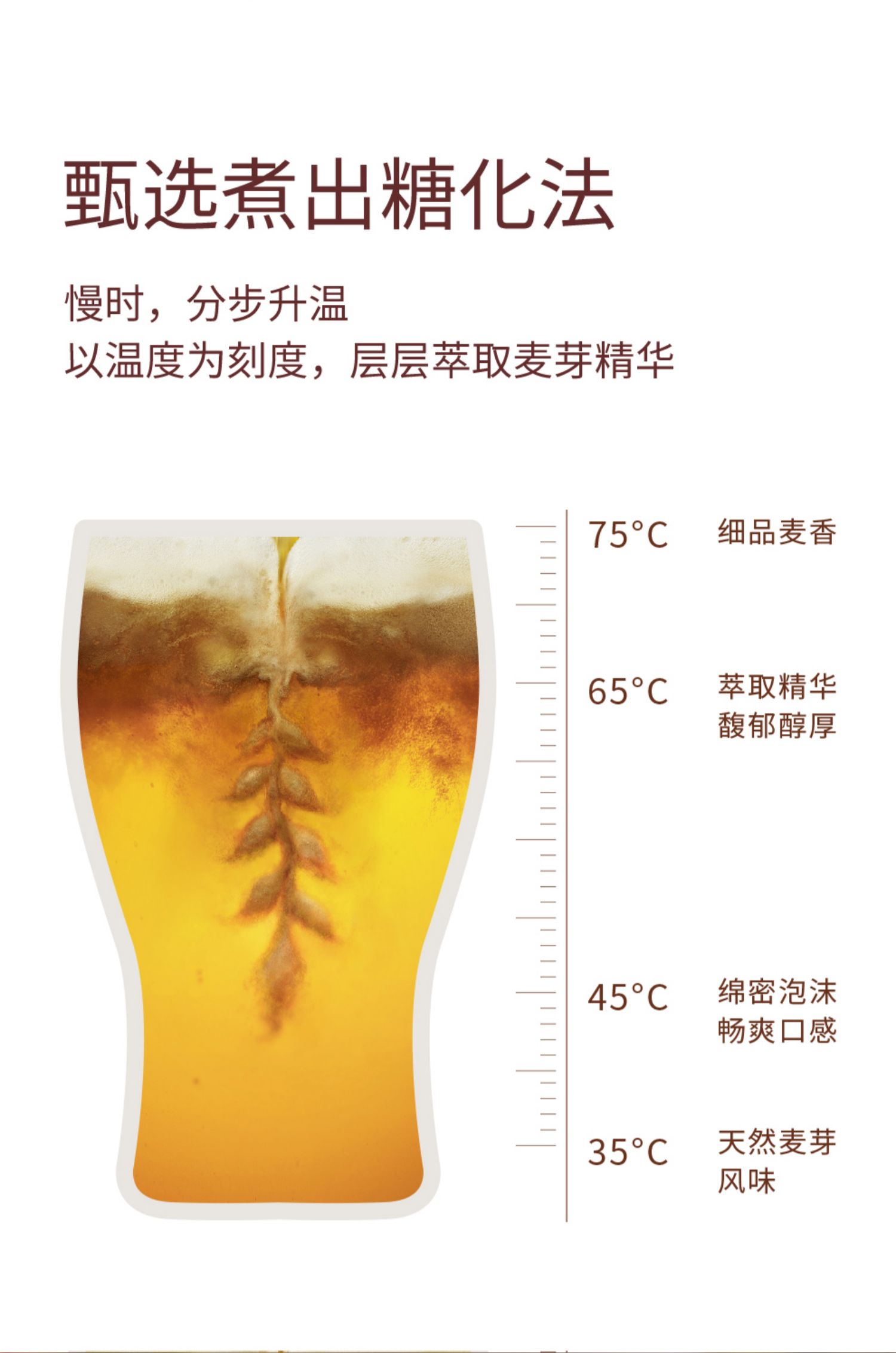 雪花啤酒花脸啤酒11.5度*12瓶