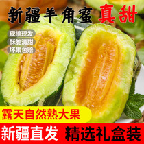 Xinjiang goats horn honey melon fresh fruit whole box 5 catties to make boyo fruits when season crisp honey melon melon