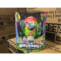 Hatchimals Ha Chi Magic Egg Mystery Paradise Scene Toys Hatch Egg Girls Toys Children Gifts
