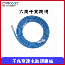 Commscope (Anpu)NPC06UVDB-BL010F six types of 3m unshielded jumper finished network cable