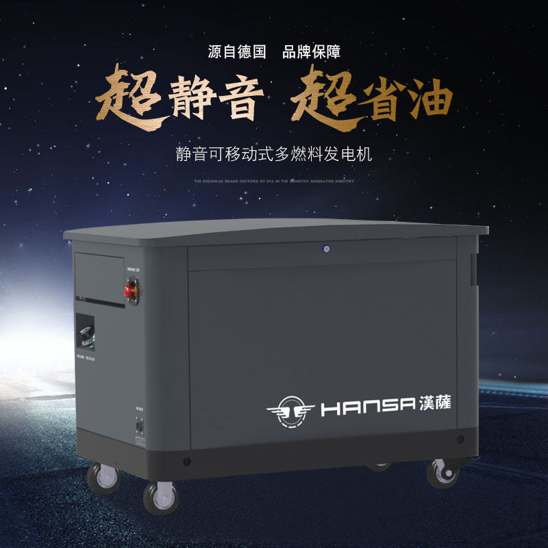 Hanseatic 30KW gas generator EU30REM-EC gasoline multi-fuel generator set muted 220v380v