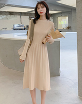 2021 new autumn and winter high-grade knitted dress temperament slim-fit light luxury royal sister base medium-long age-reducing skirt