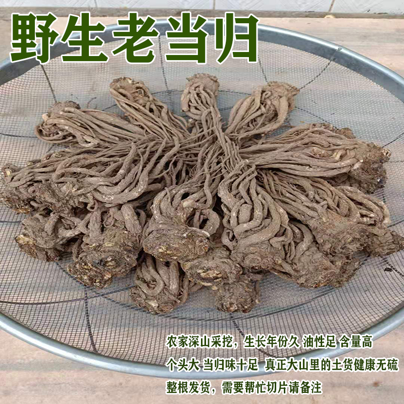 Minxian Wild Old Angelica 500g Wild Premium Whole Root Sulfur-Free Angelica with Codonopsis Astragalus Tea - Taobao