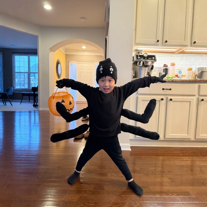 Halloween Children's Costume Cosplay Spider Outfit Creative Funny Cute Event Party Performance Costume