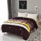 Coral quilt bao gồm một mảnh flannel mui xe hai mặt lông cừu nhung dày sang trọng cashmere mùa đông phụ nữ duy nhất đôi chăn muji mùa hè