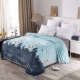Khăn trải giường nhung đơn mảnh hai mặt flannel chăn chăn dày mùa đông nhung giường đơn - Khăn trải giường