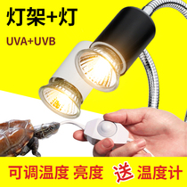 Turtle sun back light Full spectrum sun light UVB Turtle tank with uva heating calcium bulb Climbing pet back light three-in-one