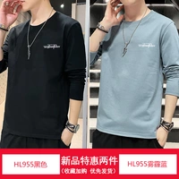 HL955 черный + HL955 дымчатый синий