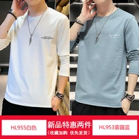 HL955 белый + HL953 дымчатый синий