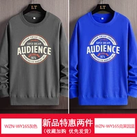 WZN-WY165 серый+WZN-WY165 синий Кляйна