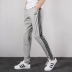 Quần Adidas nam 2019 hè mới thể thao màu xám quần chạy đào tạo quần thẳng giản dị DQ3079 - Quần thể thao quần short tập gym nam Quần thể thao