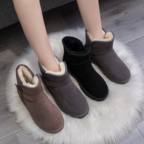 Snow boots women plus velvet thickened 2021 Spring and Autumn new fur integrated waterproof non-slip Northeast warm cotton shoes