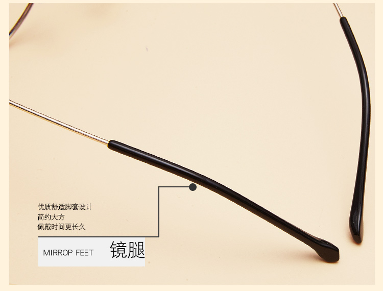 Montures de lunettes en Alliage de nickel - Ref 3142014 Image 20