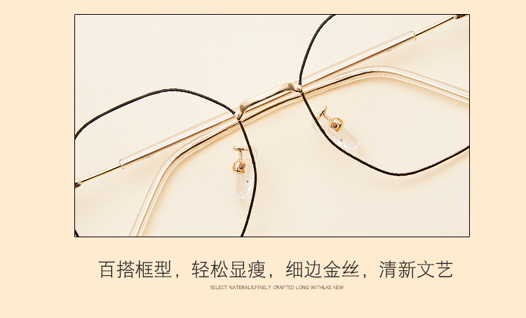 Montures de lunettes en Alliage de titane - Ref 3140425 Image 9