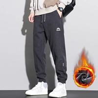 3006 серый плюс бархат