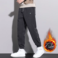 3002 серый плюс бархат