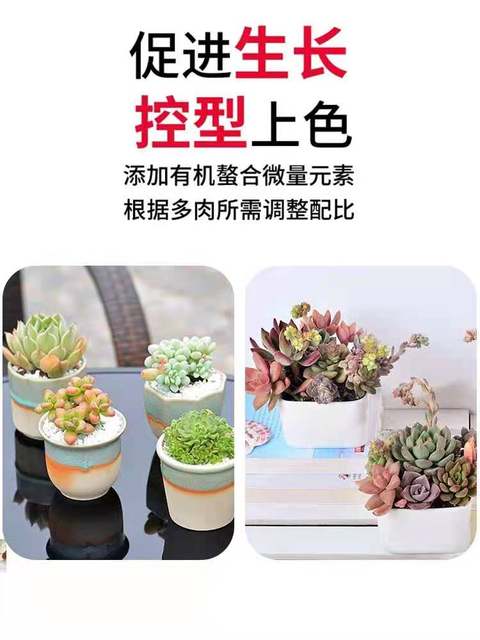 ຝຸ່ນພິເສດສໍາລັບ succulents, ປຸ໋ຍພິເສດສໍາລັບດິນທີ່ມີທາດອາຫານ, ພືດອອກດອກໄວ, ທົນທານຕໍ່ຍາວ, ຝຸ່ນພິເສດທີ່ມີເມັດທີ່ປ່ອຍອອກມາຊ້າ.