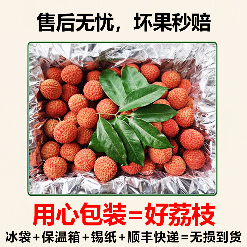 什么因素决定了荔枝新鲜超大果王的品质？-荔枝-淘宝百科网