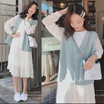 Pregnant women spring suit fashion 2021 new dress tide mom net red knee-length skirt two-piece autumn and winter models