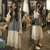Pregnant autumn dress fashion new net red sweater thin two-piece set of foreign spring and autumn knitted suit long dress