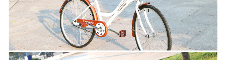 Panier pour vélo LANDON en métal - Ref 2257737 Image 32