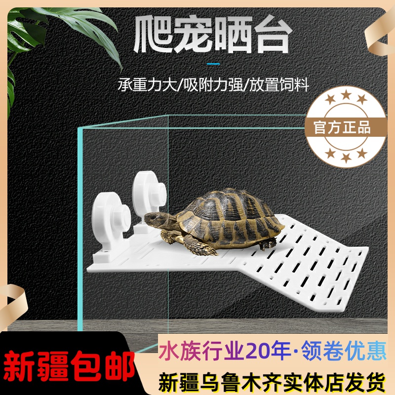 Large number of turtle sunbeds Climbing Terrace Climbing large fish tank Sun Back Terrace High Water Level Deep Water Turtle Climbing Floating Island Terrace