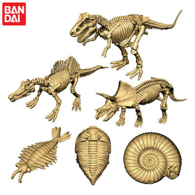 Bandai Gacha has unearthed dinosaur fossil bones, Tyrannosaurus rex skeleton models, and assembled bone specimens in stock
