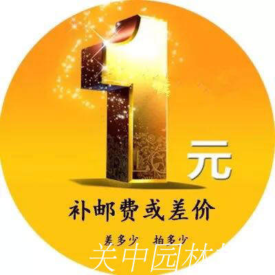 Accessories hyperlinks Do not shoot randomly Chainsaw parts Brush cutter lawn mower Logging saw chain postage supplementary price