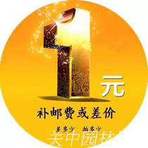 Accessories Link never to mess with oil saw parts Cut Irrigation Machine Mower Lumberjack Saw Chain Postage premium