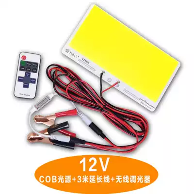 led light source 100W night market light stall strong light outdoor battery light night fishing car 12v camping field cob light board