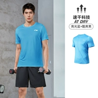 【Мужской быстро сухой】 синий